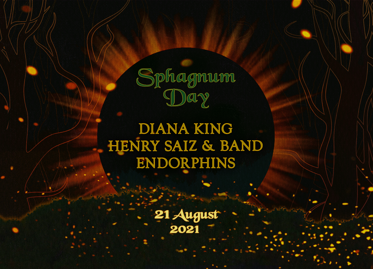 Sphagnum Day: Diana King, Henry Saiz & Band | სოციალური სივრცე